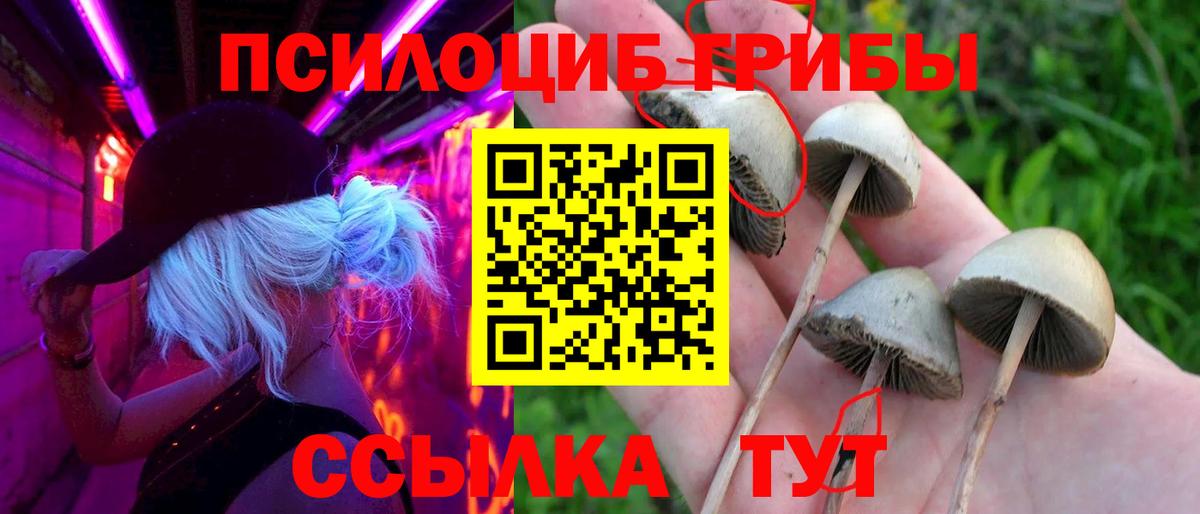 Хабаровск  Галлюциногенные грибы GOLDEN TEACHER  Псилоцибиновые грибы мицелий  как найти закладки  Вход с VPN 